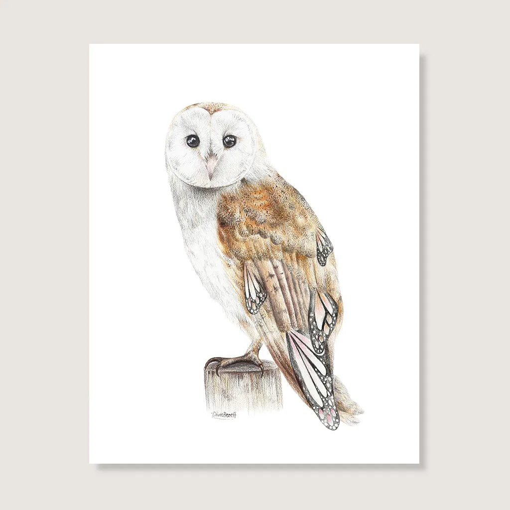 Butterfly Barn Owl Print