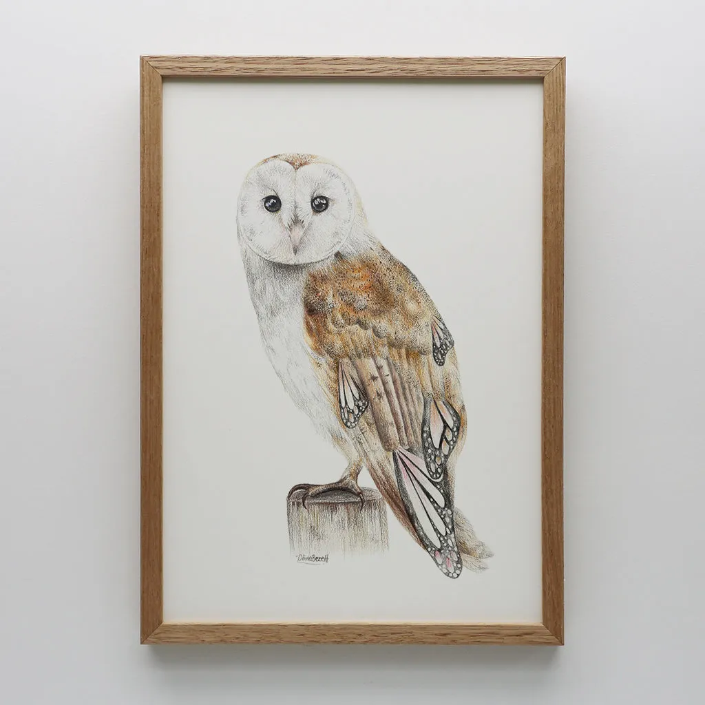 Butterfly Barn Owl Print