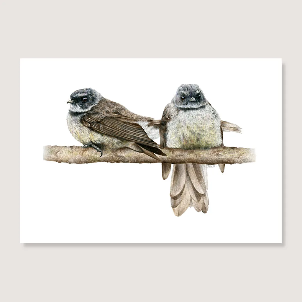 Cheeky Fantails Print