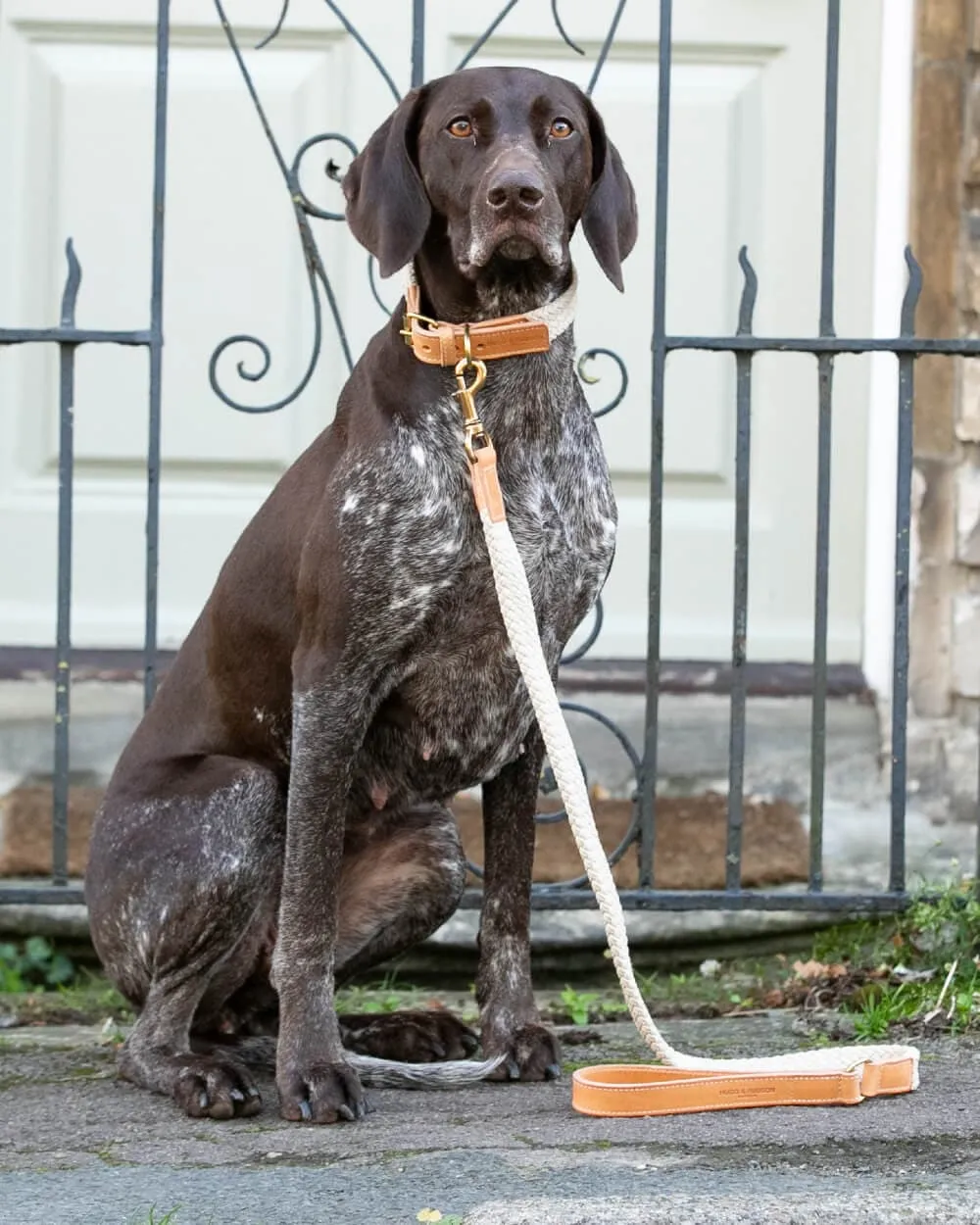 Flat Rope and Leather Dog Lead - Tan