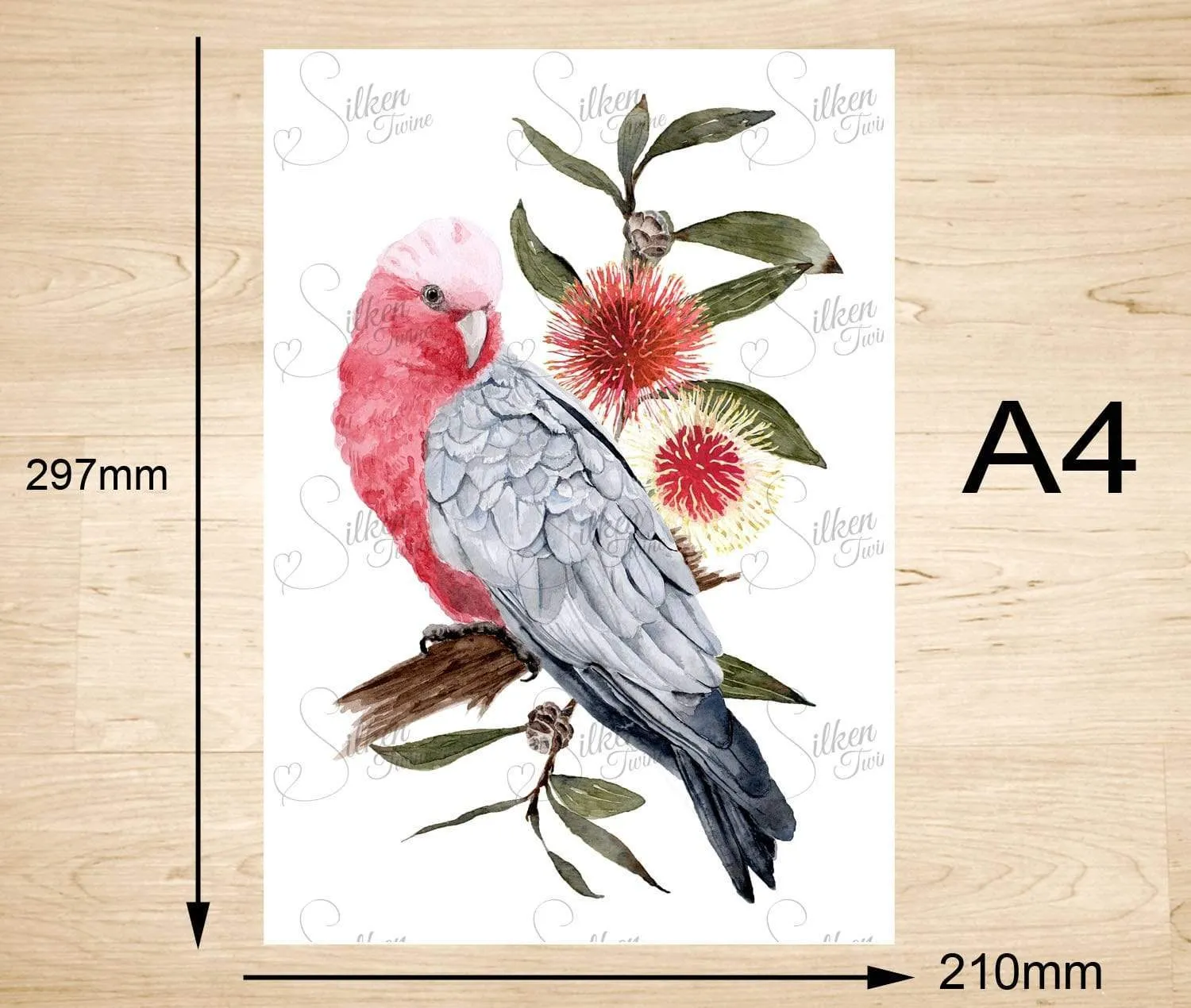 Galah Art Print Left