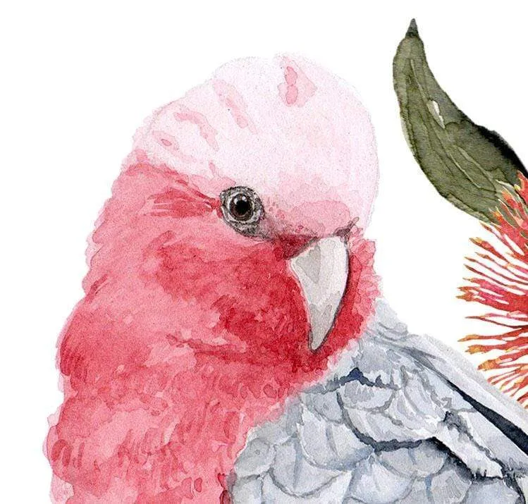 Galah Art Print Left