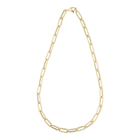 Long Link Necklace