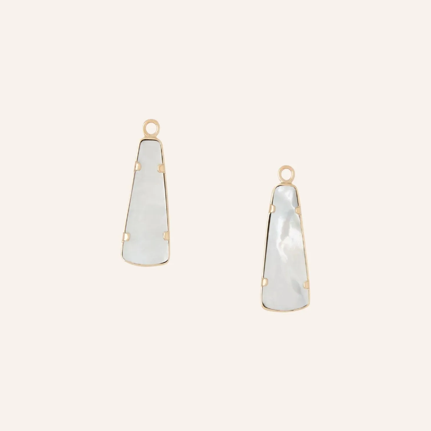 Opalized Petrified Wood Long Shield Earring Drops