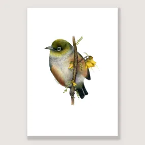 SALE - Waxeye print A4