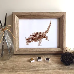 Thorny Devil Lizard Art Print